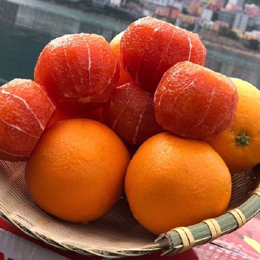 秭归县 秭归橙子