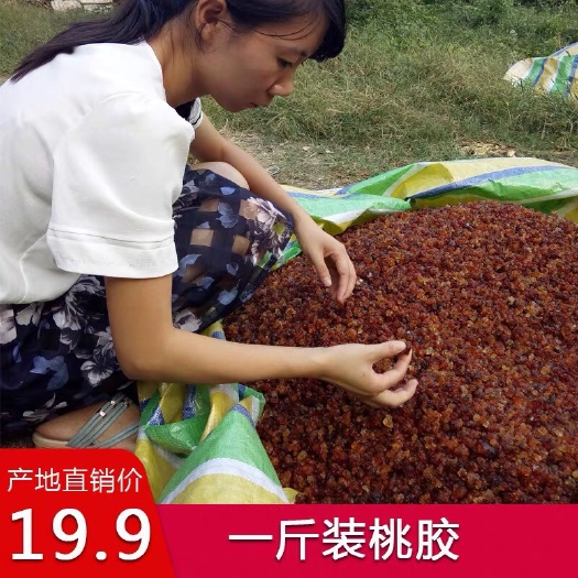 随县野生桃胶 红黄胶500克天然无残留食用桃花泪一斤农家自摘产地直销