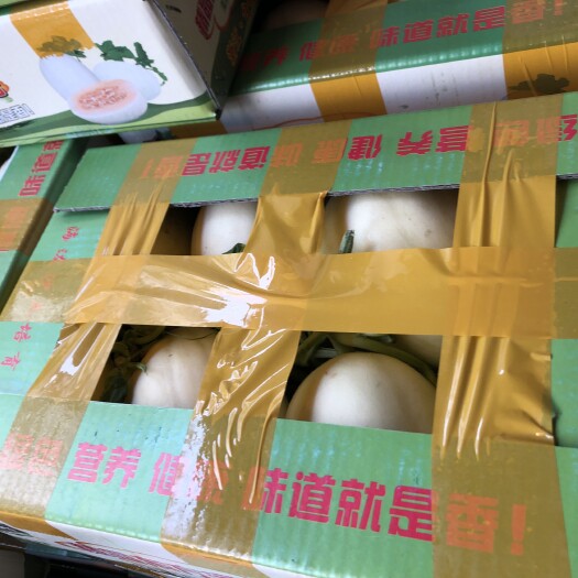 长沙东方蜜1号 东方蜜一号