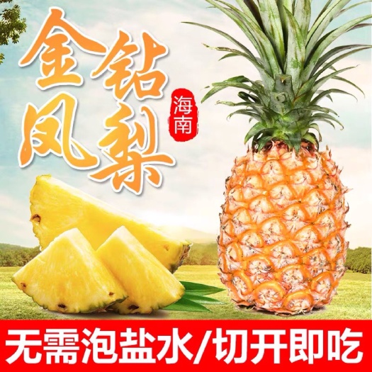 海南金钻凤梨 当季水果 手撕凤梨 新鲜无眼香水菠萝