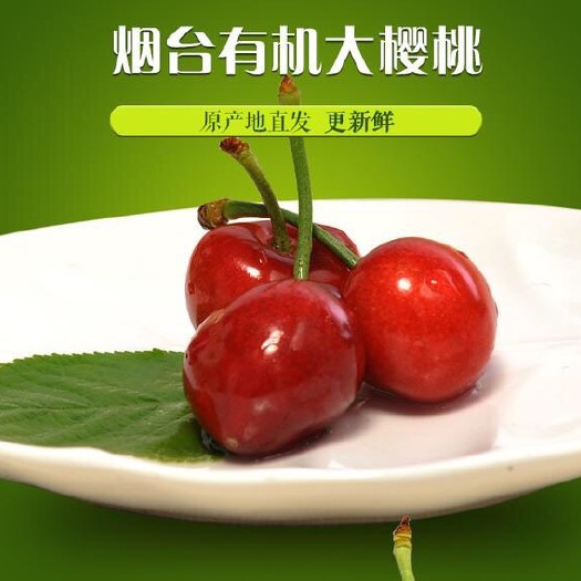 招远市美早樱桃  烟台大樱桃，自家种植几十亩果园，孕哺佳品，一件代发