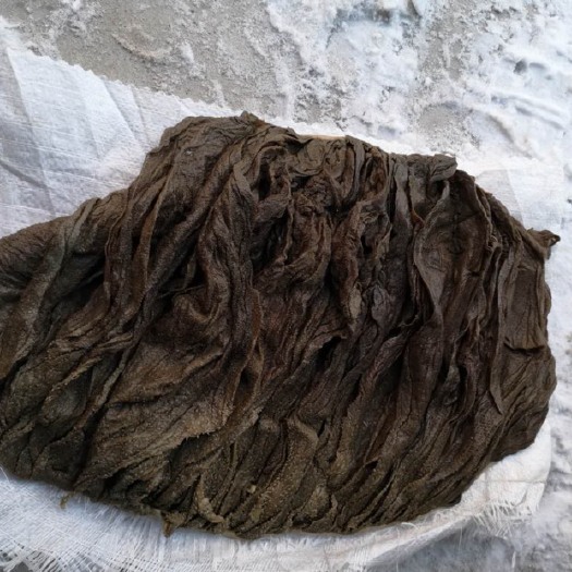 嫩江市牛肚