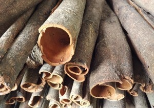 岑溪市 广西岑溪桂皮