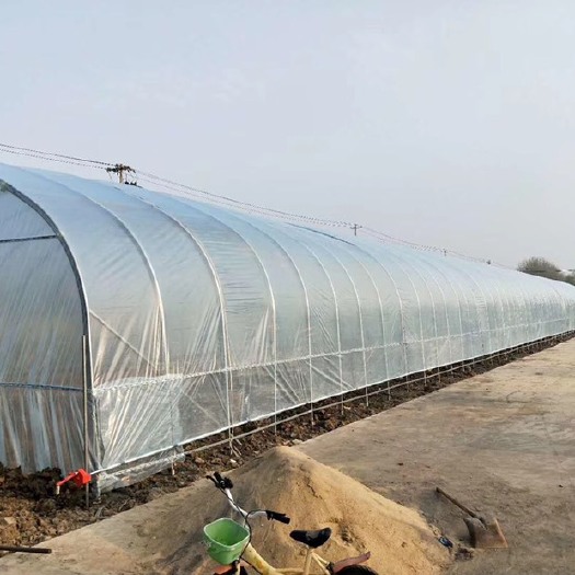 沭阳县钢管大棚 定制各种规格蔬菜大棚，养殖大棚，连体大棚！全国接单！