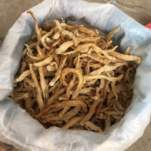 长沙白辣椒  产地直供常年供应，诚信经营，质量保证，价格合理，量