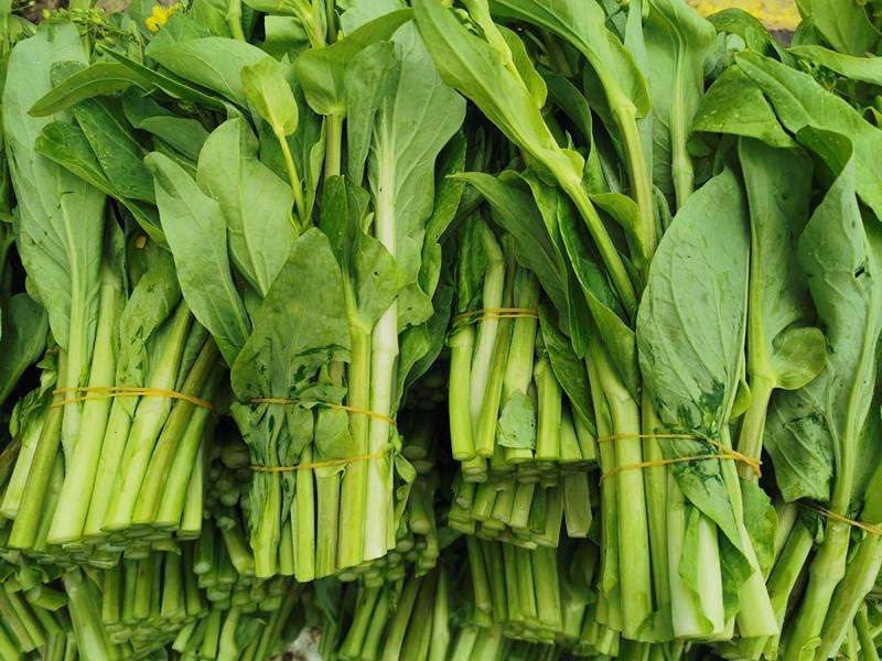 白菜苔恩施鹤峰地区富硒土种植的白菜胎大量供应