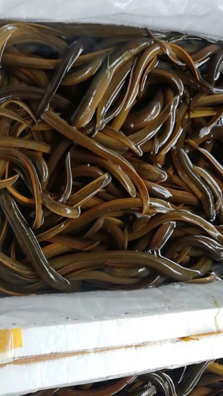 昆明可以供电商一件代发需要的老板联系