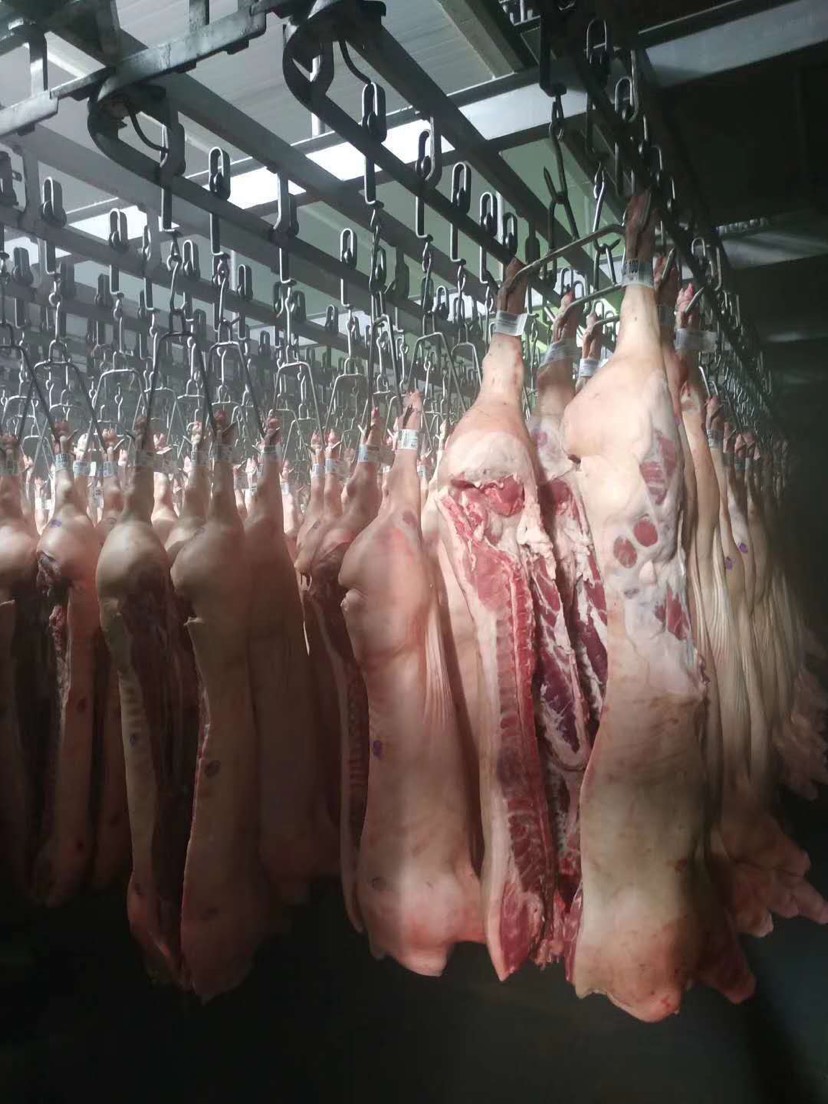 [土猪肉批发] 新鲜冻猪肉价格21元/斤 4000斤起批 