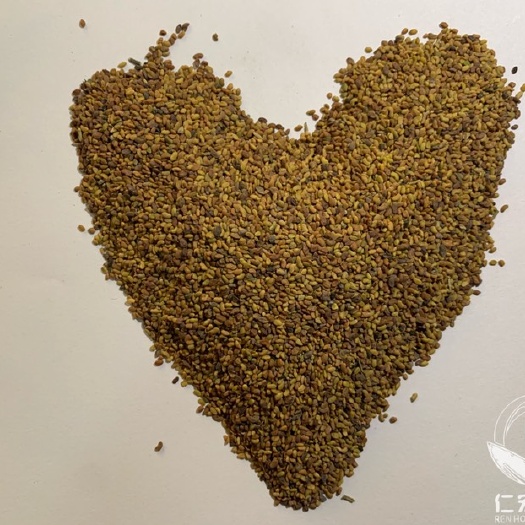 郓城县紫花苜蓿 10送1,保发芽率，送种植说明