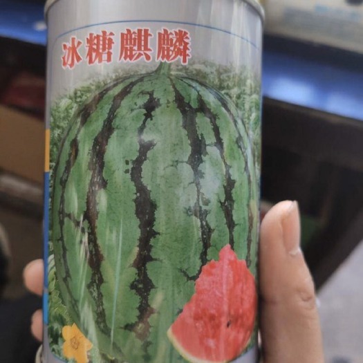 郑州金麒麟西瓜种子  冰糖麒麟西瓜种子