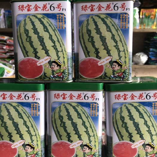 平远县绿宝公司金花6号西瓜种子