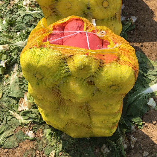 黄心大白菜 现货供应