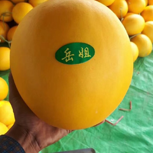 瑞丽市 缅甸黄河蜜