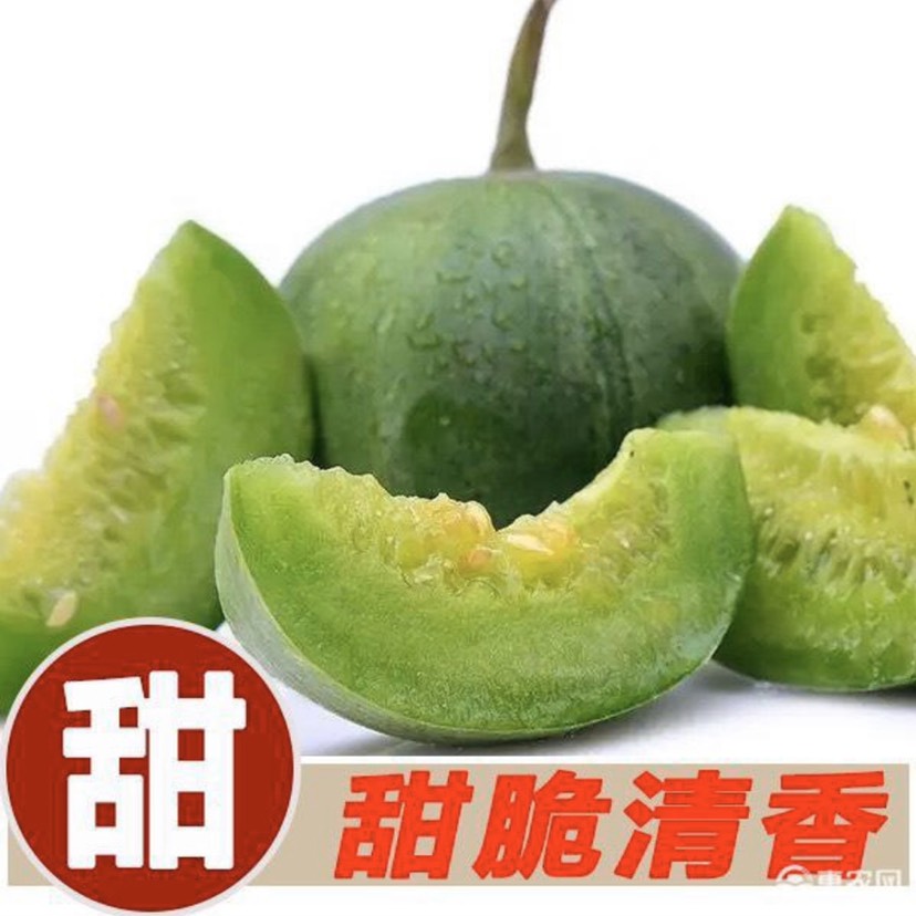  阎良甜瓜 现摘现发
