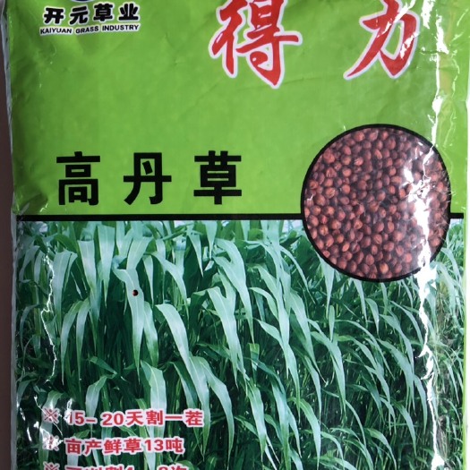 高丹草种子 供草期长 分蘖力强 叶量丰富 抗旱 再生能力强
