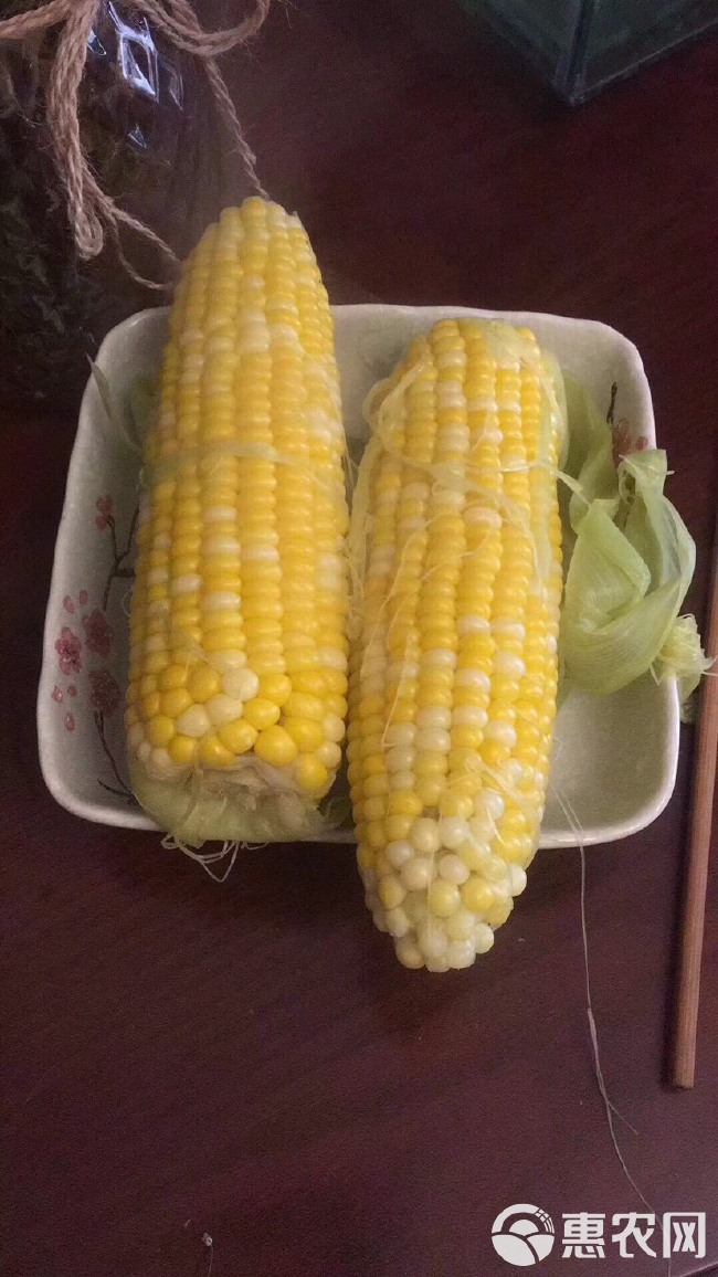 【现搬现发】云南水果玉米5斤9斤包邮新鲜应季甜玉米棒生吃蔬菜