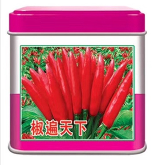 永济市批发辣椒种子 联益灌装朝天椒种子早熟抗病 皮厚籽多一次全红