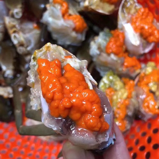 饶平县 膏蟹，青蟹，大量有货，个头大小可以任意搭配