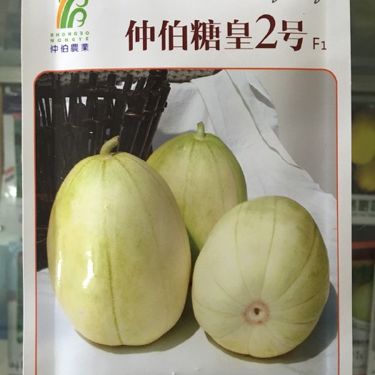 辉南县菜瓜种子 仲伯糖皇2号