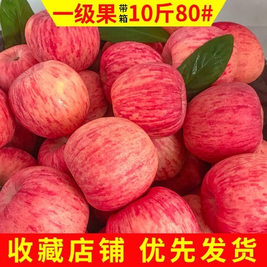 合阳县 【买二送一】 陕西洛川冰糖心红富士一级苹果包邮闪电发货