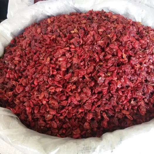 玉林 批发供应中药材 优质山萸肉 山茱萸 栆皮