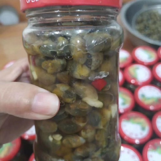 漳州黄泥螺 自家的赤壳螺,花泥螺,加辣椒蒜头味道可口