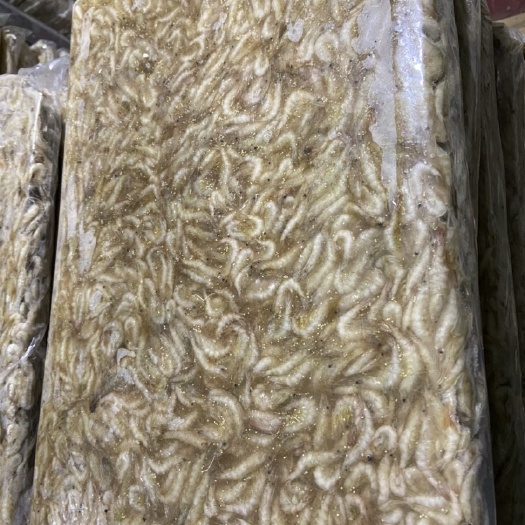 肥西县白米虾 
