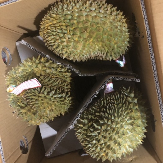 景洪市 泰国金枕榴莲，托曼尼，甲仑