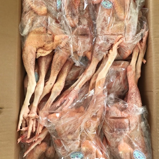 洪江市白条鸡 土二三黄鸡 去油带肺 半净膛冻品批发