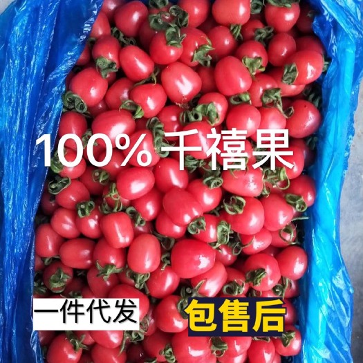 莘县 包邮精品千禧果圣女果小番茄西红柿对接各大团队电商