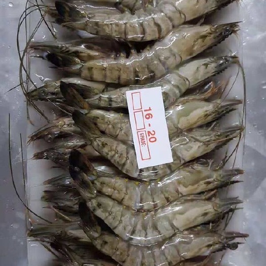 昆明中国龙虾 活体黑虎虾什么规格都有