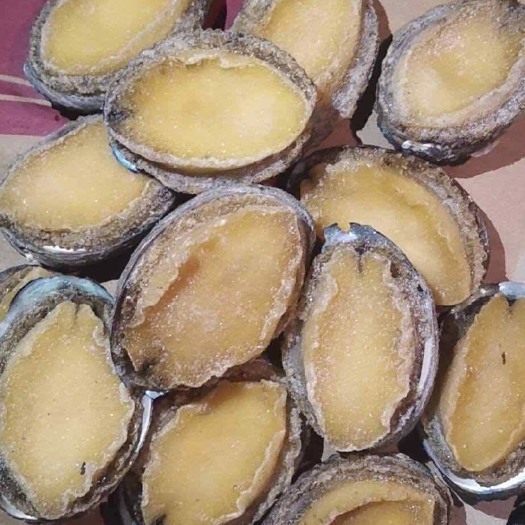 平潭县 生鲜，生冻，漂烫鲍鱼