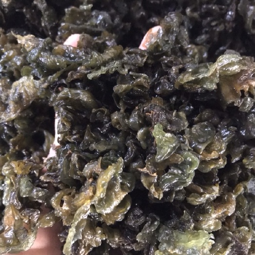 万载县地皮菜 大山深处的美味.肉厚营养高。
