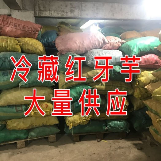  毛芋头质优价廉 诚信经营 广交朋友