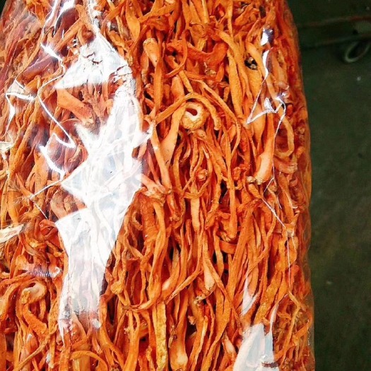 沈阳 东北虫草花北虫草农户直销天然无熏硫煲汤佳品