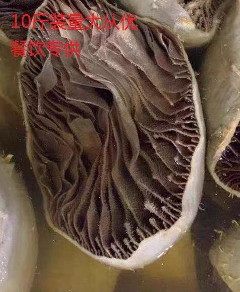 重庆市小村牧歌个个毛肚，丝丝毛肚，牛百叶5kg