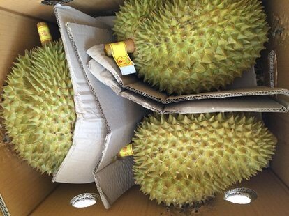 昆明金枕头榴莲 泰国金枕头。4～6头货