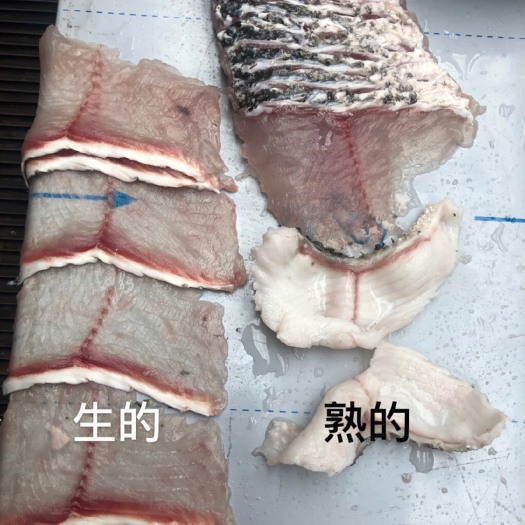 巨鹿县切肉机 鱼肉切片机