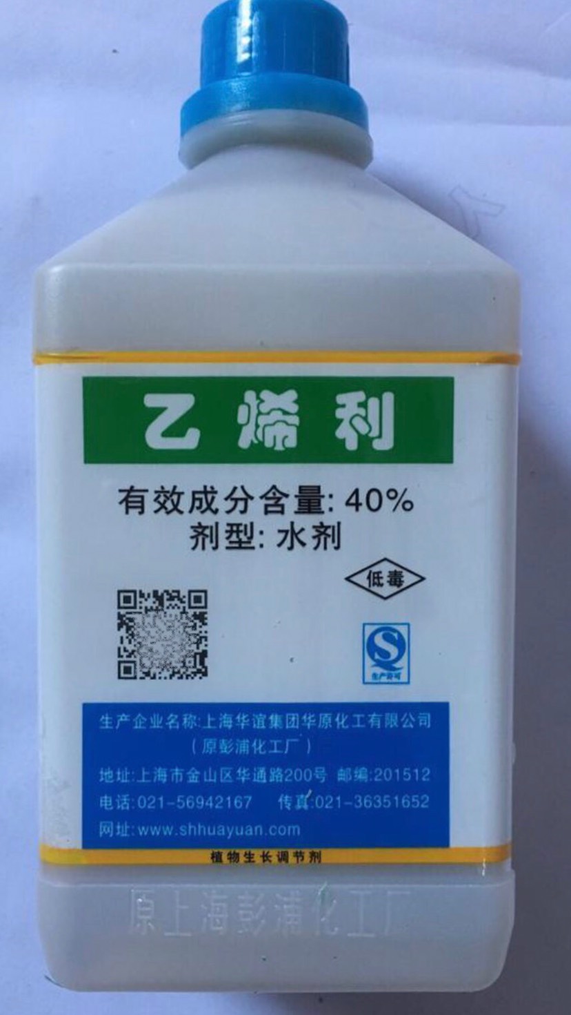 乙烯类40乙烯利调节生长剂柑橘香蕉番茄柿子催熟催红增产700g