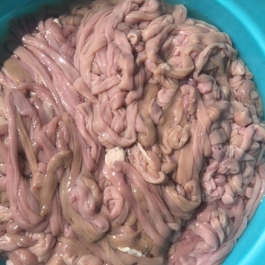 康乐县 新鲜羊肠，