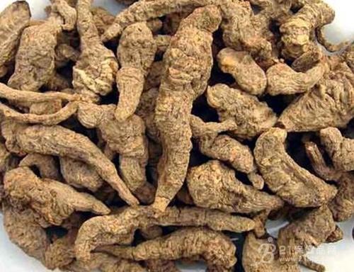 孟州市 40吨左右地黄出售，价高的来