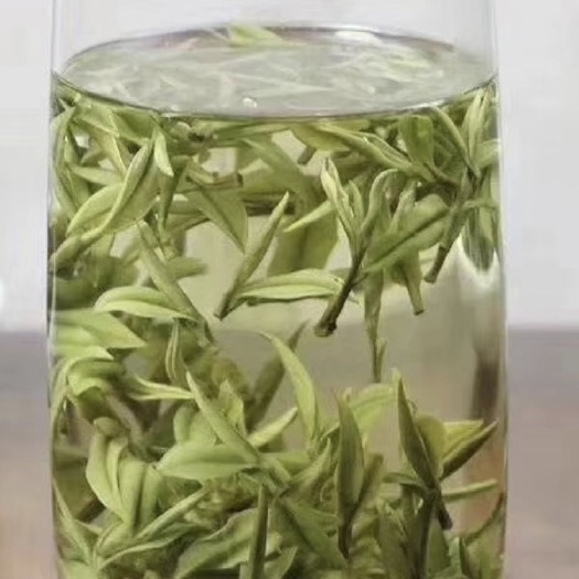 安吉县安吉白茶 头茶上市自己家茶山价格是批发价