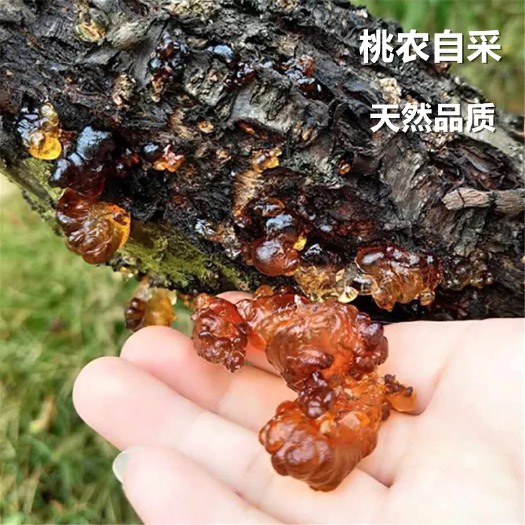 珠海食用桃胶 24个月以上 散装 本品不能代替药物