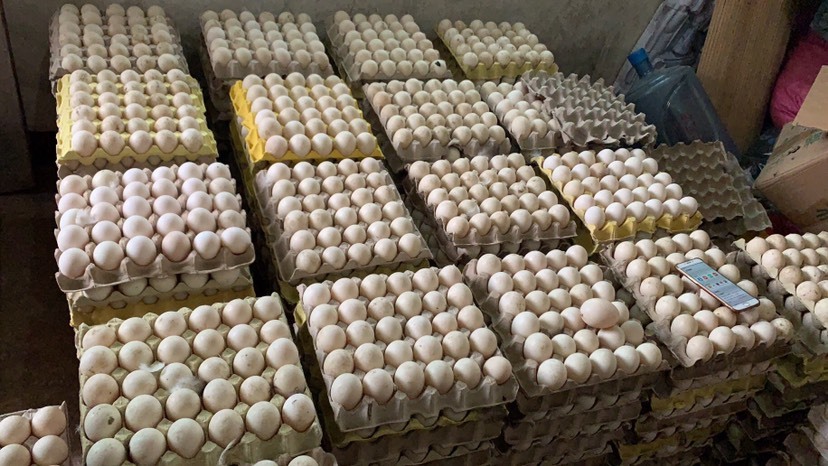 漳州番鸭蛋 孵化 箱装