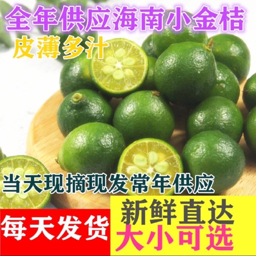 海口 小青桔又名小金桔，奶茶店专用，常年稳定供货