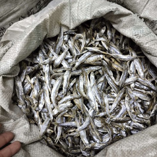 徐闻县小鱼干 3-6个月
