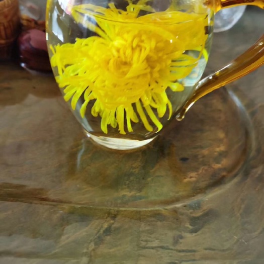 菊花茶  新花金丝皇菊100朵起发包邮