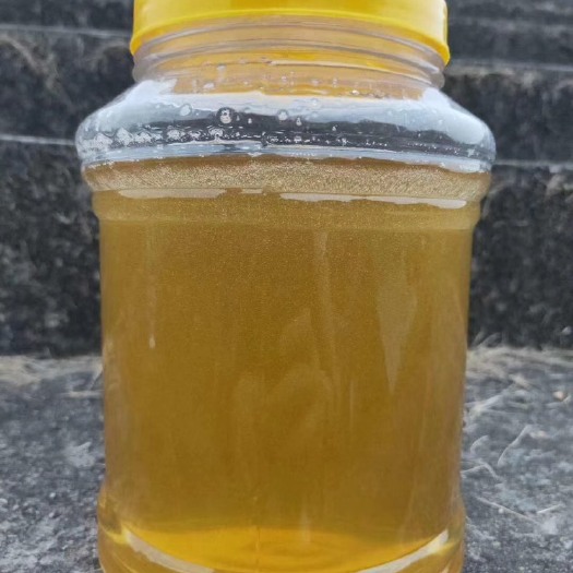 广州土蜂蜜 90%以上 2年 桶装
