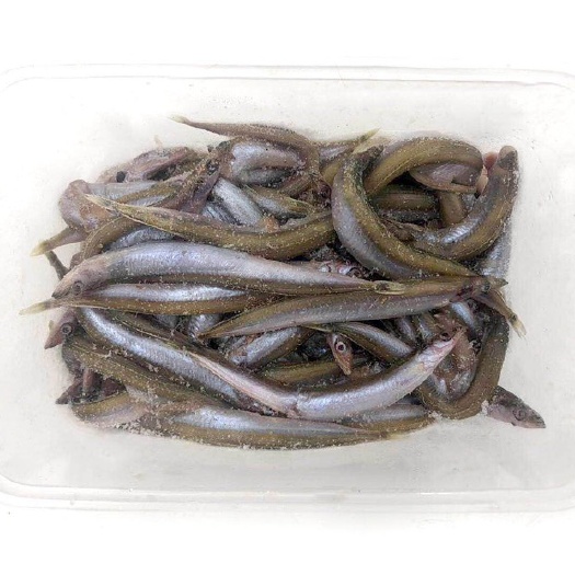 青岛小银鱼 面条鱼餐盒装