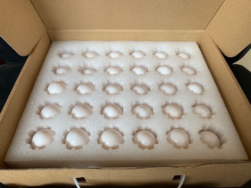 鸽子蛋 食用 箱装